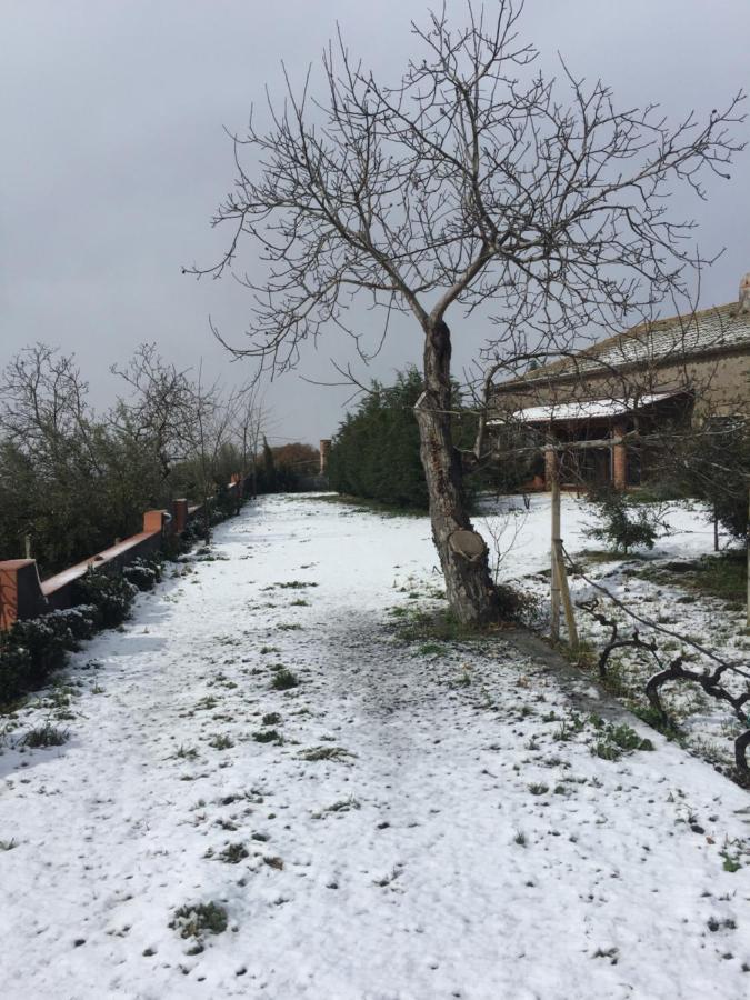 הוילה Santa Maria di Licodia Malicodia מראה חיצוני תמונה